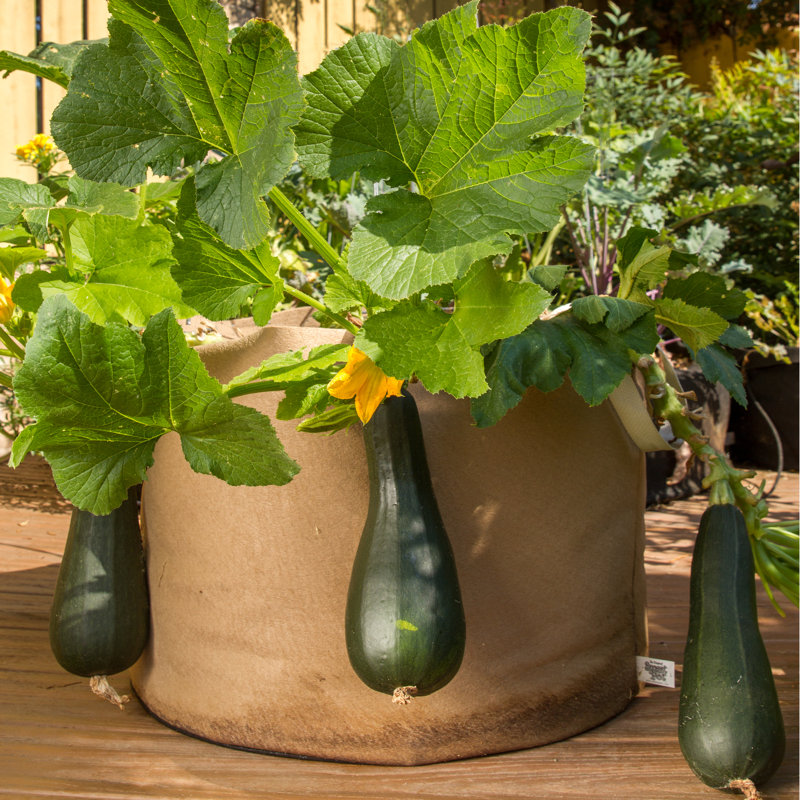 Jardinière en tissu Smart Pot®, 13,5 x 18 x 18, Naturel