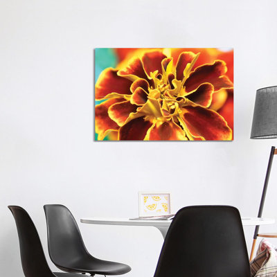 Calendula - Wrapped Canvas Print