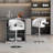 Aryelle Swivel Adjustable Height Bar Stool-1040458160-1039372435