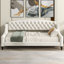 Lit de jour Modern Luxury-136924532-136924535