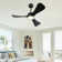 Boun 42'' Ceiling Fan with LED Lights