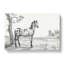 Mottled Horse by Jean Bernard - Wrapped Canvas Drawing - Wrapped Canvas-55362624