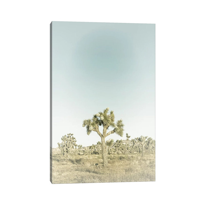 Joshua Tree National Park Vintage by Melanie Viola - Wrapped Canvas Print, 20.32 cm H x 30.48 cm W