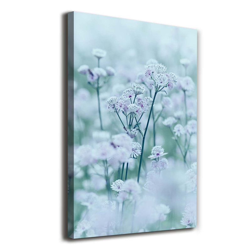 Astrantia - Wrapped Canvas Print