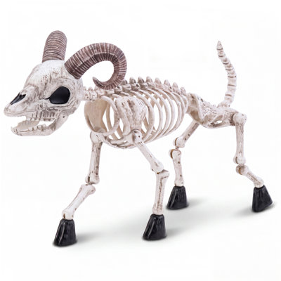 36“ Goat Skeleton