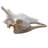Molla Real Giraffe Skull