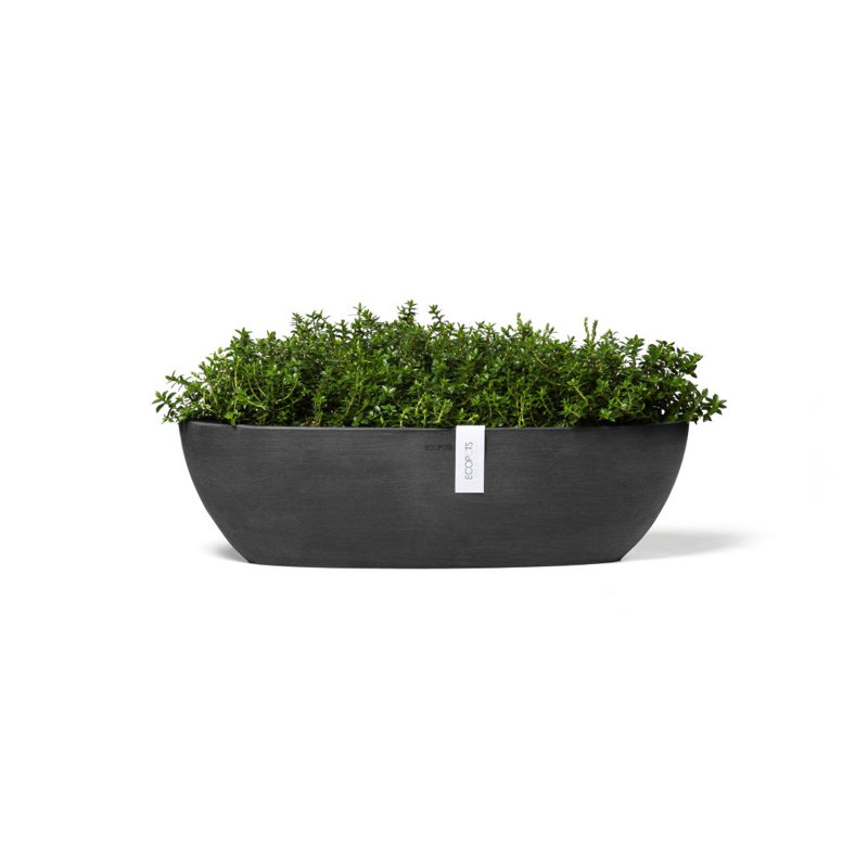 Pot Planter, Dark Gray