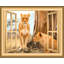 Décalcomanie murale fenêtre animal 3d lioness-28657231-28657233