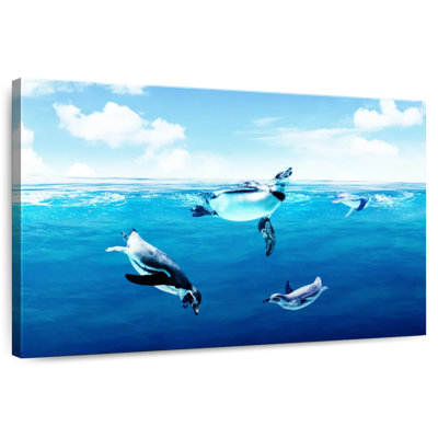Brampt Penguins Underwater