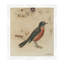 Michigan Robin Print-266742485