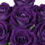 Velours rosier-363887445