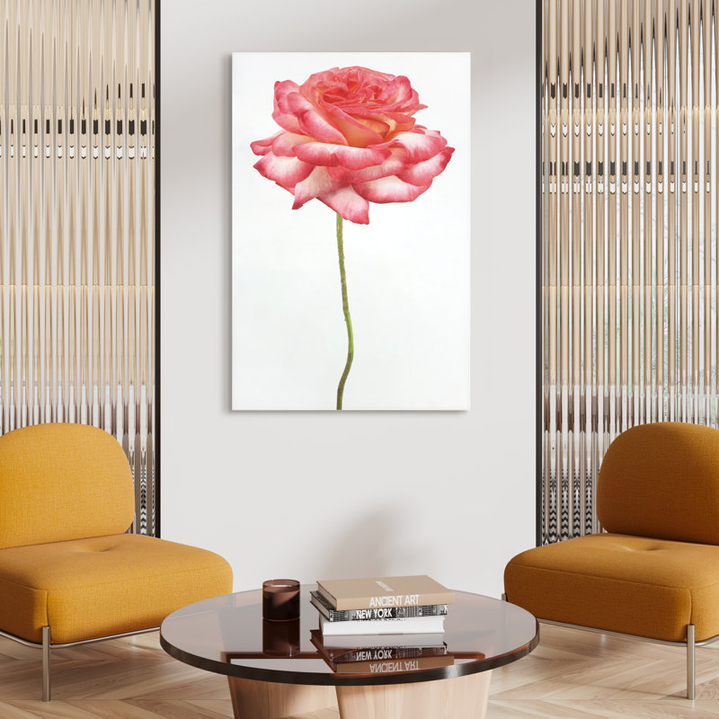 « rose sur blanc », impression sur verre Rose