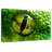 Brampt Green Python Eye-108730982