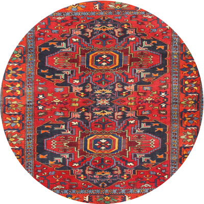 Oriental Indoor Rug
