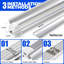 Naomi Grow Light