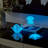 Eubank Glow-In-The-Dark Decorative Accent Glass Sculpture Figures - Set Of 3 - Starfish, Snail, Jellyfish