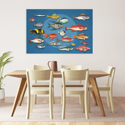Colorful Marine Fish Collection Colorful Vintage Fish Nature Ocean Wall Art Print