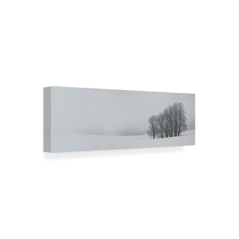 Art mural sur toile tendue - "Albhochflaeche" de Nicolas Schumacher pour décoration de salon, de chambre à coucher ou de bureau - 16 x 47