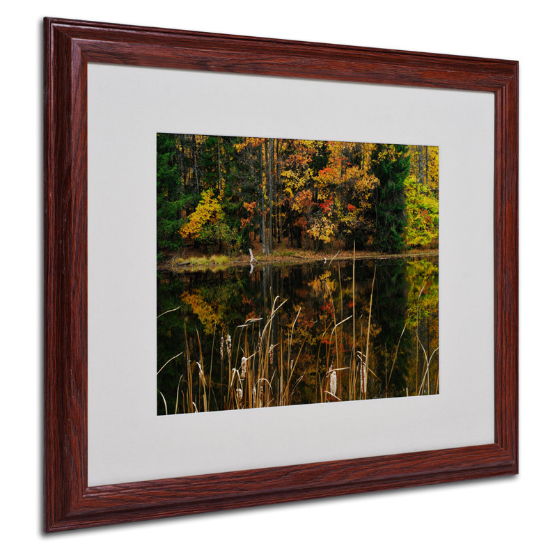 Seldon "Beautiful Memory" par Kurt Shaffer, reproduction de photo encadrée, H 16 po x l 20 po x P 0,5 po, Brun - Biseautée