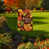 Automne multicolore sélectionné