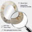 Miroir mural Minimalisme Beige et Doré Dove I - Beige-1211048324