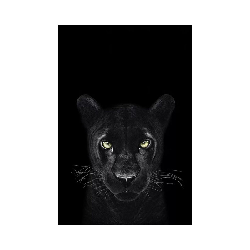 «The Panther Girl on Black» par Valeriya Korenkova, impression sur toile tendue, H 18 po x l 12 po x P 1,5 po