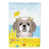 Shih Tzu argenté sélectionné