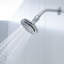 Flipside 2.5 GPM Multifunction Wall-Mount Showerhead
