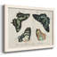 «Crackled Butterflies III», peinture sur toile encadrée-1551065798-1551065820