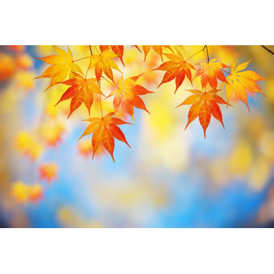 Autumn Leaves by Borchee