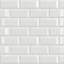 10cm x 20cm Bevelled Ceramic Subway Tile-1839134597