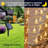Kary 30 - Bulb 252'' Solar Powered Curtain String Light