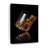 Whiskey Glass Reflection Canvas Print-92497185