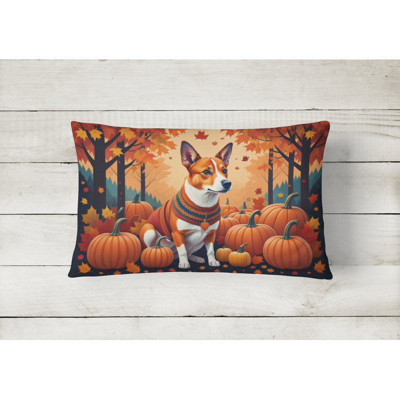 Other/No Pattern Outdoor Throw Pillow