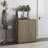 Cesiro Accent Cabinet With Adjustable Shelves-148105258-159153783