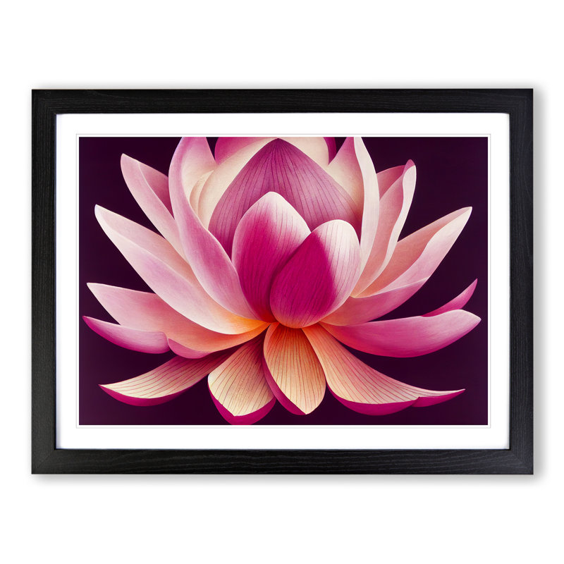 Beguiling Lotus Flower - Single Picture Frame Print, Black Frame, 46cm H x 64cm W x 2cm D