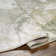 Tapis San Francisco SFO-2316