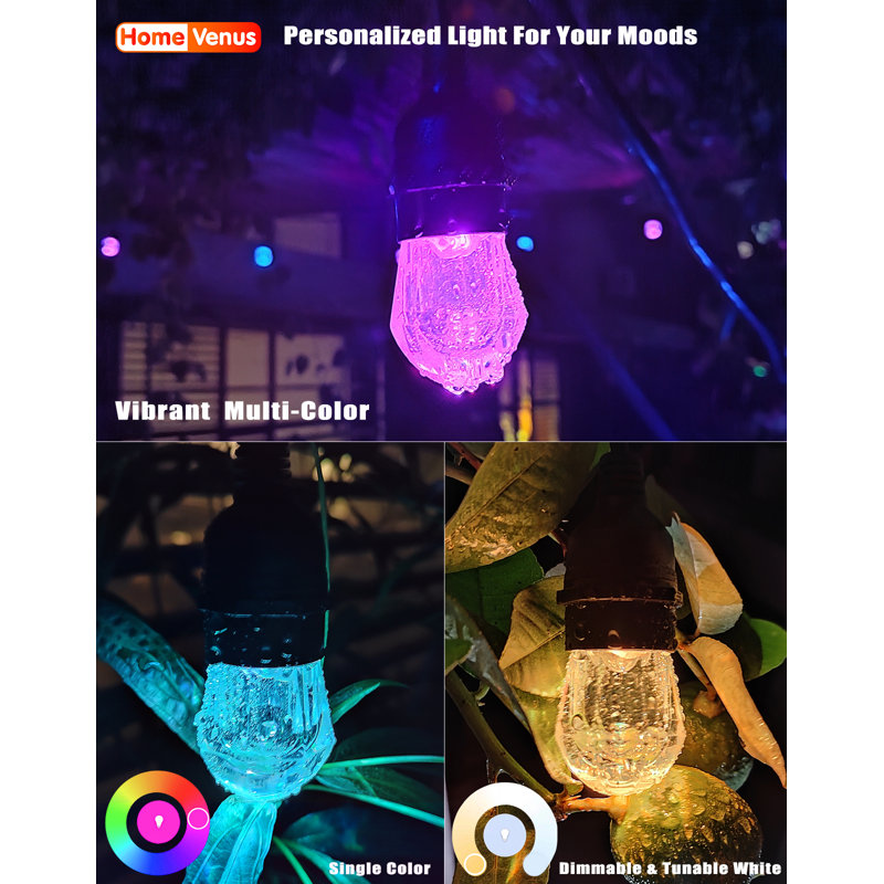 Nayara Outdoor 18 - Bulb 36'' Plug-in String Light