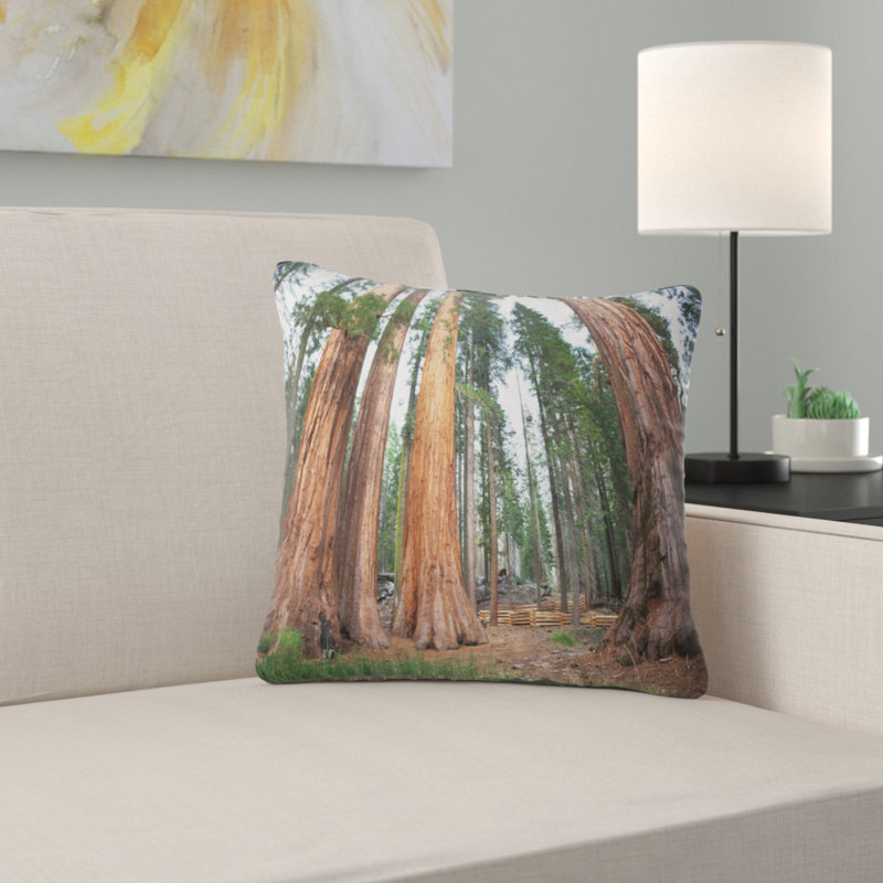 Coussin décoratif à trois grandes arbres sequoyas africain landscaped, 16 po x 1 po, Coussin décoratif