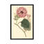 « ipomea jalapa », impression sur toile-73198201-73198199-73198200