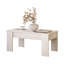 Helenmae Height-Adjustable Coffee Table with Storage-337799583