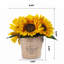 Arrangement de tournesol en pot