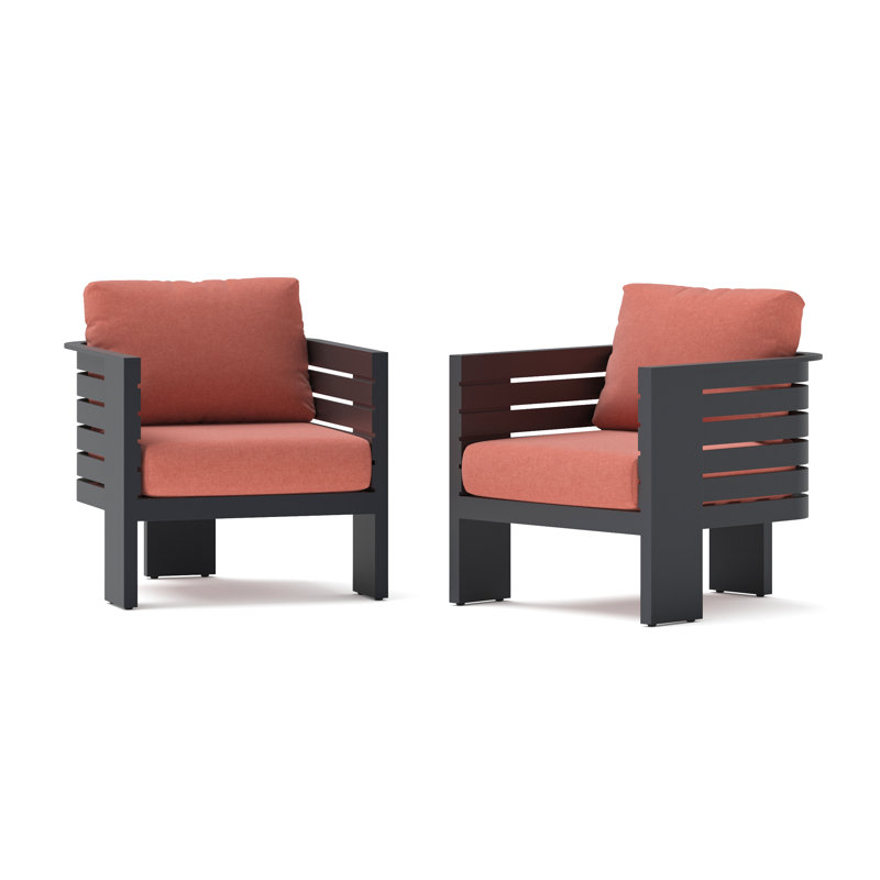 Ari 2 Piece Sunbrella Outdoor Patio Club Chairs - Play Adobe, Play Adobe