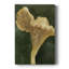 Chanterella II - galerie Cavas sur mesure-117863336