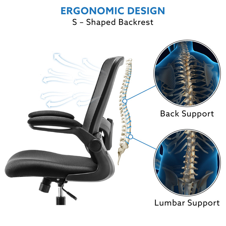 https://assets.wfcdn.com/im/36705706/resize-h755-w755%5Ecompr-r85/2414/241445227/Flip+Top+Ergonomic+Mesh+Drafting+Swivel+Desk+Chair+Lumbar+Support%2C+Height+Adjustable+with+Foot+Ring.jpg