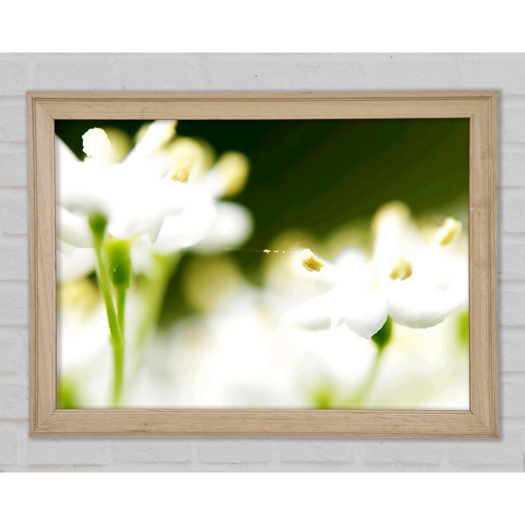 Weißer Blumenhimmel mit Netz Gerahmter Druck