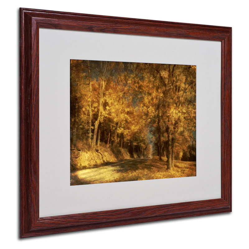 « back routes » par lois bryan, reproduction de photo encadrée, H 16 po x l 20 po x P 0,5 po, Brun - Biseautée