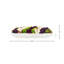 Orchidée Adelina et arrangement de plantes grasses-31174355