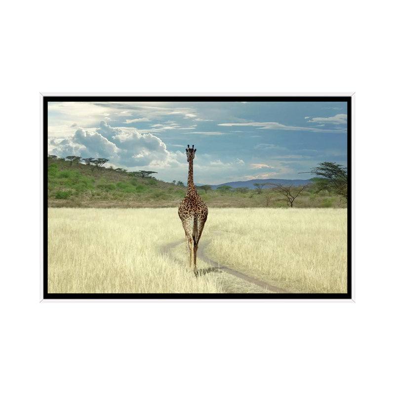 Until I Get There by Ben Heine - Print on Canvas, 101.6 cm H x 66.04 cm W, White Framed
