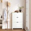 18 Pair Flip Down Shoe Storage-384849590